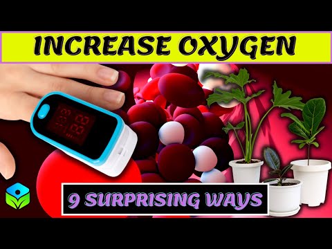 9 Surprisingly Effective Ways to Increase Oxygen Level In The Blood and Body Naturally