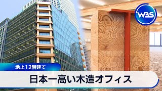 日本一高い木造オフィス　地上12階建て【WBS】