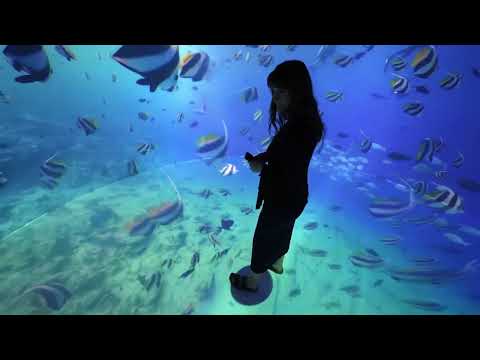 Igloo Vision Core Engine 2024 | Powered by MetaVox International