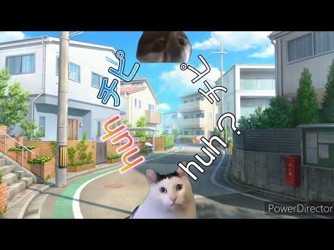 huh猫vsチピチャパ猫前編