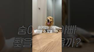 아빠를 찾아라🔎