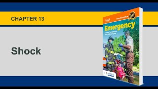 Chapter 13, Shock