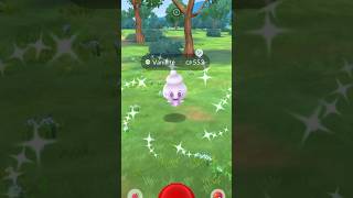 CRAZY Luck From Testing Community Day Shiny Odds In #pokemongo