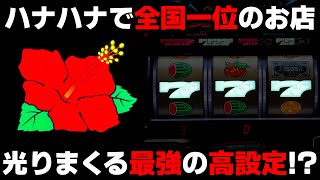 【ドラハナ閃光】2025年初打ちハナハナで最強無敵の台に出会う!?高設定確信の全ツッパ!!【パチンカス養分ユウきのガチ実践#395 】