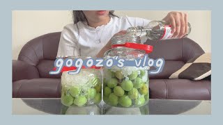 第一次從零到有自釀青梅酒｜gogozoey’s vlog #1