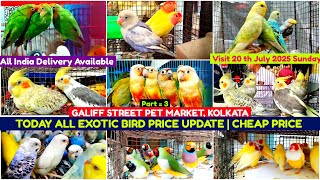 Kolkata Bird Market | Exotic Bird Price Update | Galiff Street Pet Market | 20/07/2025 |Chepset Bird