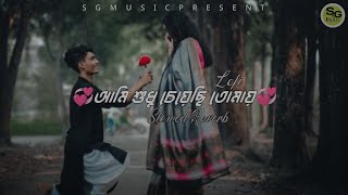 আমি শুধু চেয়েছি তোমায় 🥰Aami Sudhu Cheyechi Tomay Lofi Song 💞@sgmusic5482