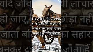 #quote #quote #real #reality #life #live #support #prayer #animals  #inspiration #trending #ytshorts
