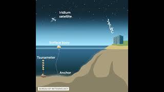 Seismic Engineering Tsunami Detection #engineering #technology
