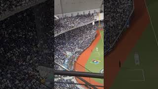 世界棒球經典賽資格賽 玩波浪舞XD #baseball #棒球 #wbc #中華隊