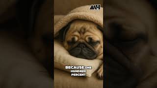 Therapy's Secret Side Effect: Why You're So Tired (And It's Okay!)