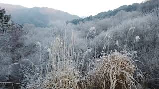 비밀의 정원