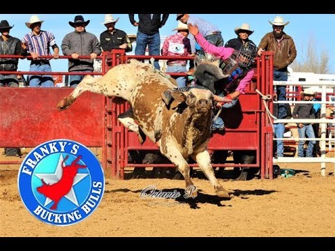 Bad Hombre Bucking Bull