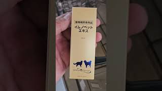 無題のビデオ