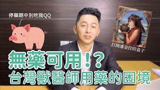 【子琦律師】【獸醫用藥（上）】打開潘朵拉的魔盒！？獸醫用藥的限制？台灣獸醫師困境從何而來？