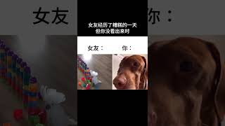 女友經歷了糟糕的一#YT不笑有三 #訂閱 #看更多 #梗圖 #迷因 #爆笑梗圖 #網路迷因 #搞笑日常 #shorts