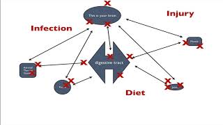 What Causes Body Aches and Body Pain: Metabolic Endotoxemia, LPS, Auto Immune, and Gut Health