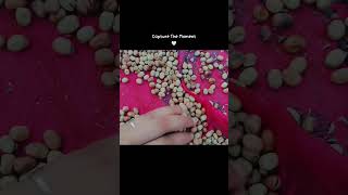 #Pigeon pea ( Rahri daal) # healthy #trending # youtube shot #eplorepage #popular #homemade # enjoy