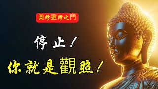 你不是頭腦，你是觀照：發現真我的開始 | 奥修 | 內在衝突 | 靜心與覺知 | 科學與藝術 | 物質與精神 | 生命意義 | 內在平衡 | 自我探索 | 靜心練習 | 觀照自我 | 心靈成長