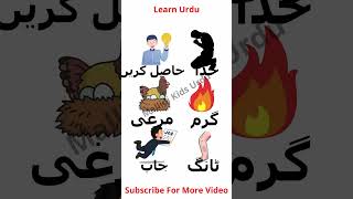 Learn Kids Urdu Daily Use English To Urdu #urdu #youtubeshorts #trending