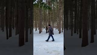 Aménagement de la forêt du boisé champêtre 🌳🌲 (Partie 1)⁣ #shorts #forêt #parc
