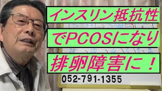 高インスリン血症 不妊の原因 インスリン抵抗性 PCOS 多嚢胞性卵巣症候群 FSH 卵胞刺激ホルモン LH 黄体化ホルモン 男性ホルモン アンドロゲン 排卵障害 不妊整体 妊活整体 名古屋市