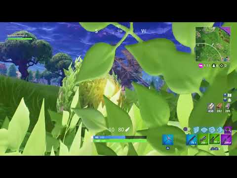 I won at the fortnite Stop sayin im going no where in life mom!