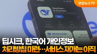 딥시크, 한국어 개인정보 처리방침 마련…서비스 재개는 아직 / 연합뉴스TV (YonhapnewsTV)
