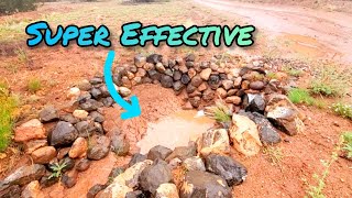 The Chronicles of High Desert Rainwater Harvesting