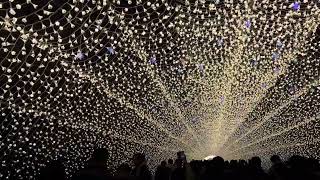 名花之里 05  20250112