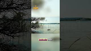 🔥 The Deadly Lake That Turns Animals to Stone! 🌋 Lake Natron’s Creepy Secret! #shorts