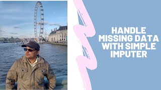 Handle Missing Data with Simple Imputer