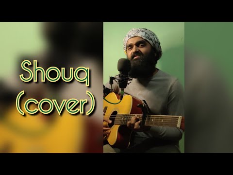Shauq Acoustic Cover | Qala | Netflix | Amit Trivedi | RAYVOX😍 #andamannicobar  #sonymusicindia