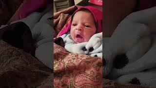 Cute  baby expressions | Newborn baby #baby #cute #vehaniya #ytshorts # #song