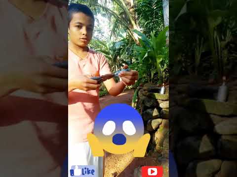 #shorts #shorts #shorts #shorts
