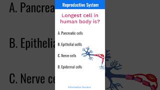 Reproductive System | SSC and Competitive exams | #shortsgk #shortsfeed #generalknowledge #ssc