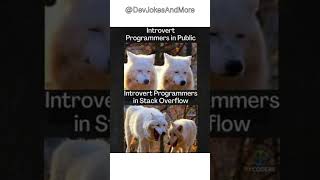 Compilation of Hilarious Programming Memes | #Shorts