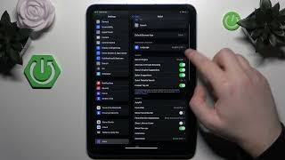 iPad (2025) – How to Change the Search Engine? 🔍🔄