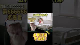 五月撞大运的你 #猫meme #猫meme小剧场 #搞笑  #精神状态belike #万万没想到 #内容启发搜索