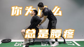 你为什么总腰疼呢？腰疼自测与康复训练