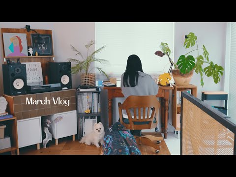 Vlog | 心を満たす休日の過ごし方 | 鎌倉の街歩き,雨の日の読書時間