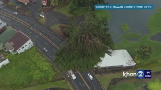 Ownership of fallen Hilo tree messy after two women killed
