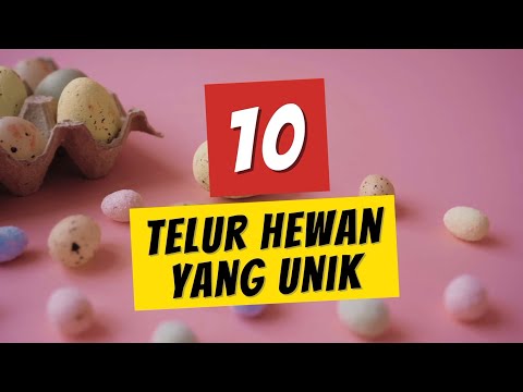 ADA YANG MIRIP TANDUK SET4N - 10 TELUR HEWAN YANG UNIK #lensapopuler