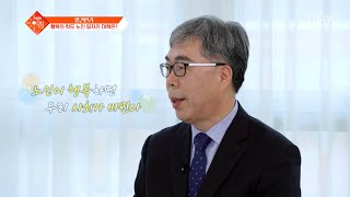 초고령화 사회👴 노인의 행복을 위한 노인 일자리 대책🤗 TV CHOSUN 240206 방송 | [슬기로운 아침] 12회 | TV조선