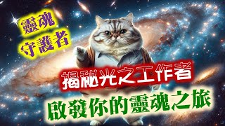揭秘光之工作者：啟發你的靈魂之旅 | 心能量 | 靈性成長 | 靈心禪境