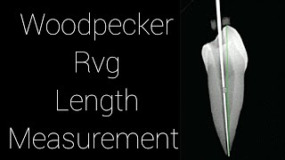 Woodpecker I sensor --Measurement Feature Demo  with update Software
