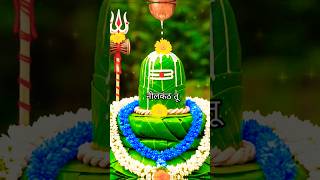 देवो का देव तू शिव महादेव तू 🔱bholenath status!!#mahadevstatus #jaimahakal #hindudeity #trending#yt