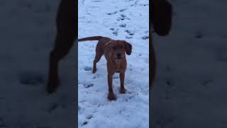 Cool video, short and funny, jokes and laughter 94