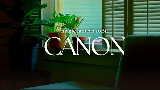 Testing Canon 5D Mark II Features: Still Worth It?