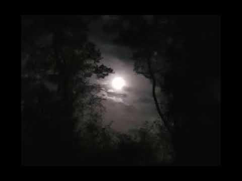 8Dio Score This: Moon - Gerry Havinga